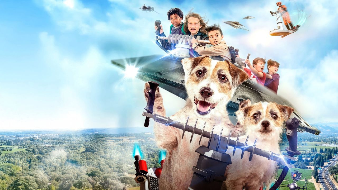 A Doggone Adventure