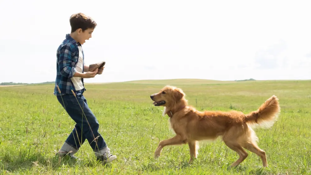 A Dog's PurposeMovie