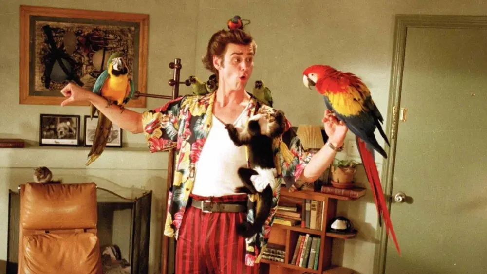 Ace Ventura: Pet DetectiveMovie