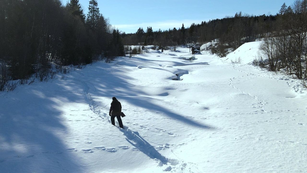 Arctic's Edge