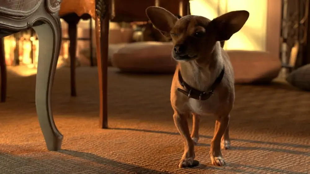 Beverly Hills Chihuahua 3: Viva la Fiesta!Movie