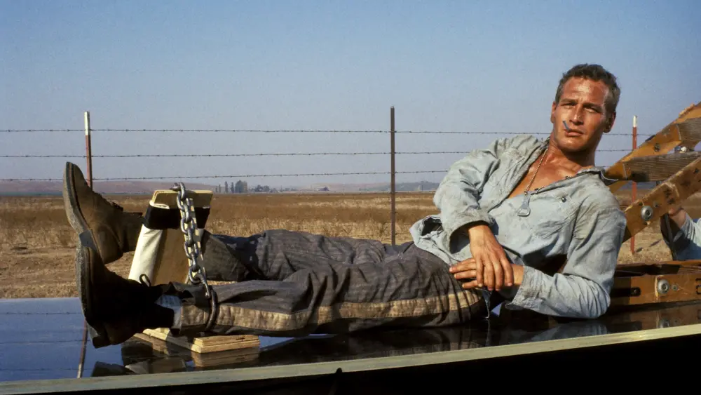 Cool Hand LukeMovie