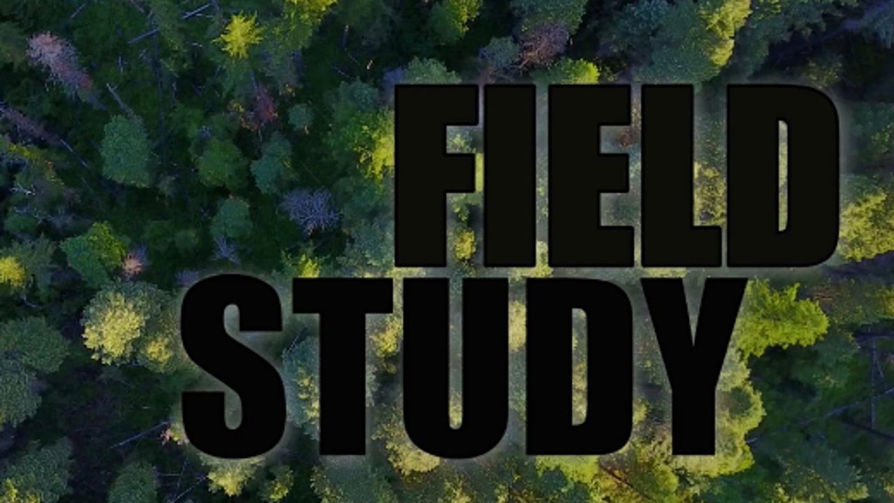 Field Study