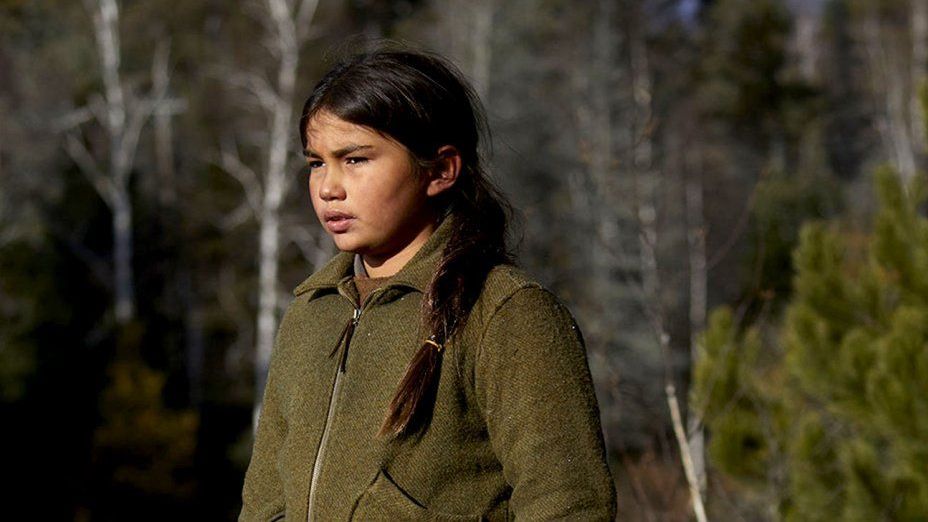 Indian Horse