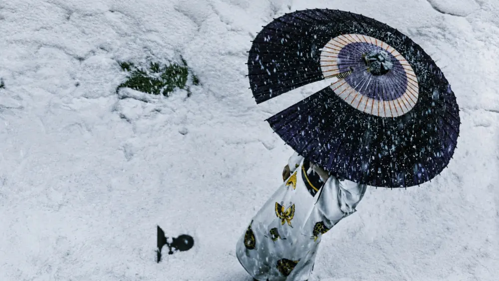 Lady SnowbloodMovie