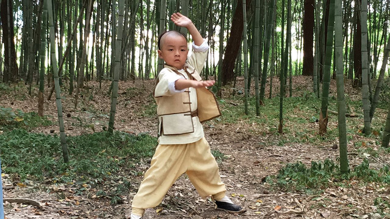 Master Of The Shadowless Kick: Wong Kei-Ying