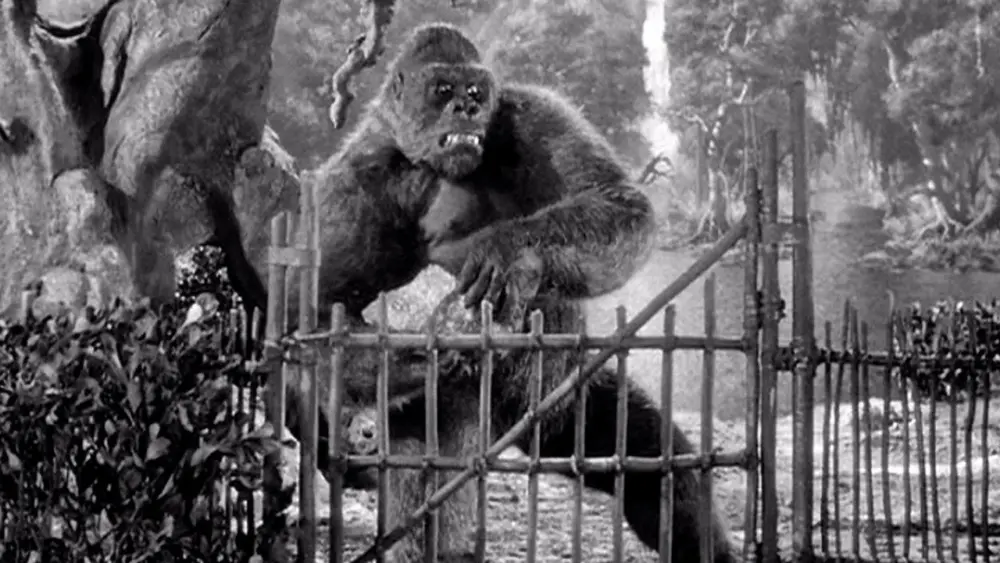 Mighty Joe YoungMovie