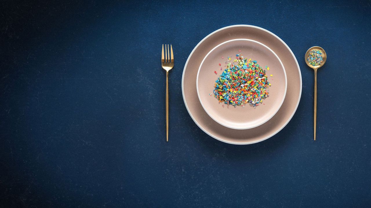 The Plastic Detox