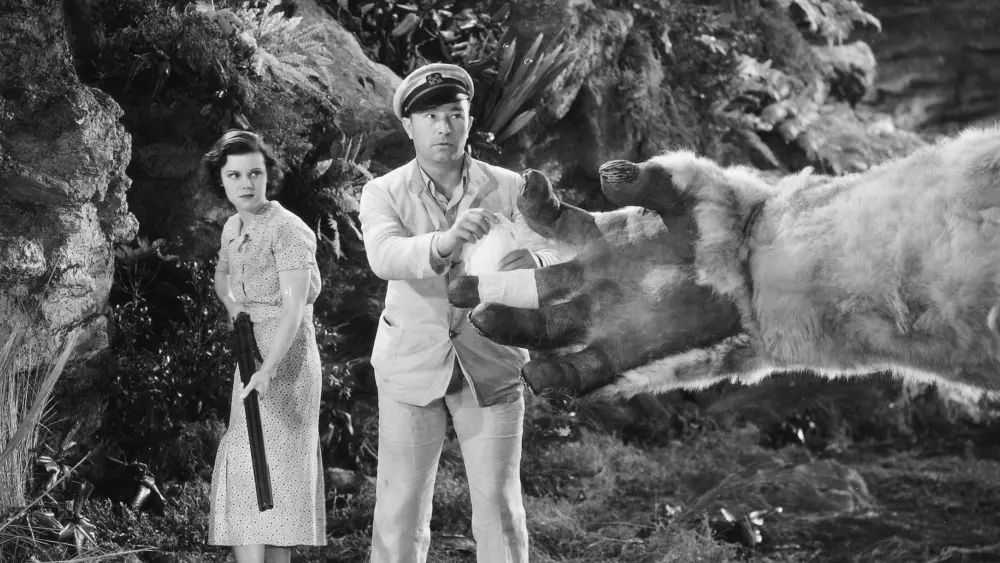 The Son of KongMovie