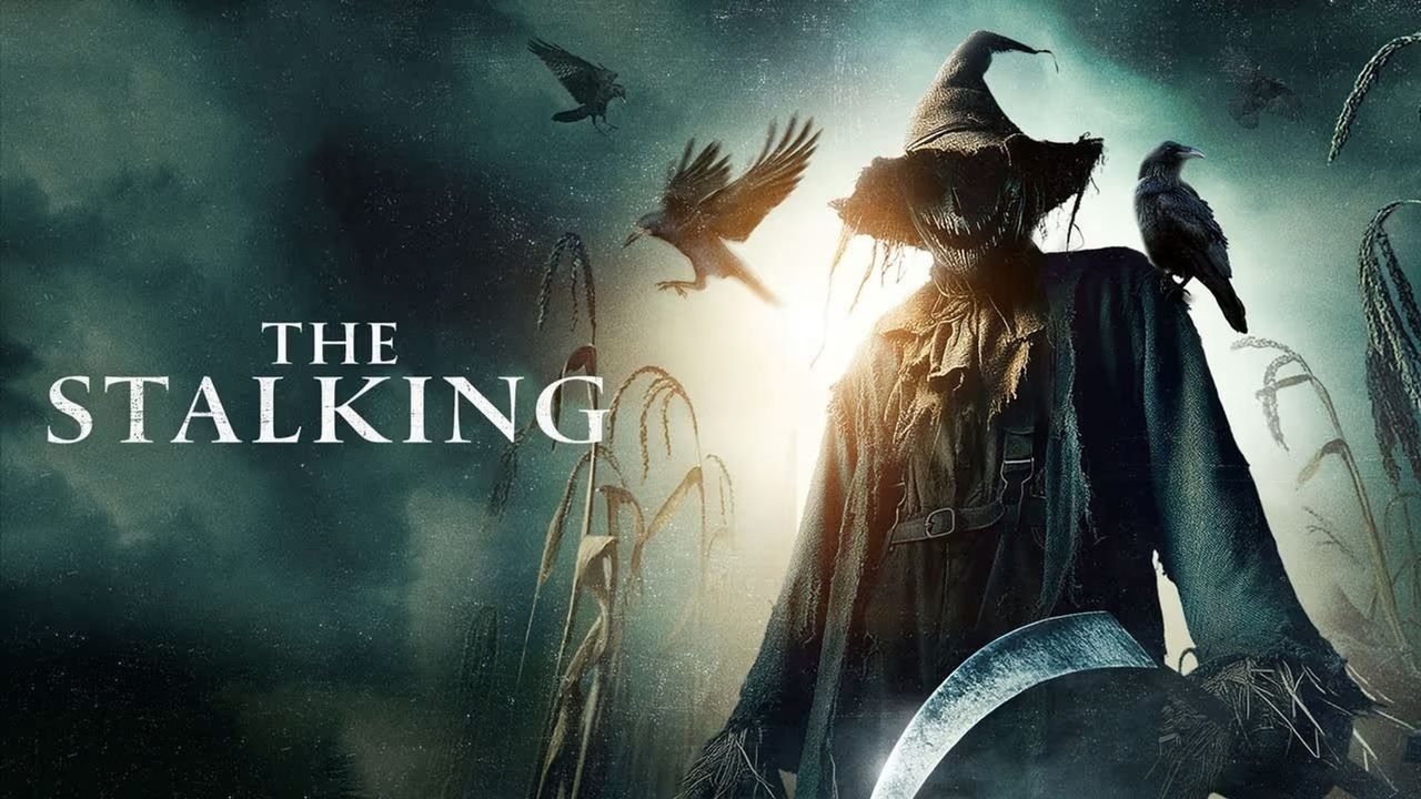 The Stalking
