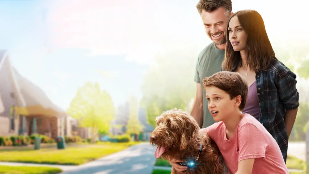 Think Like a DogMovie