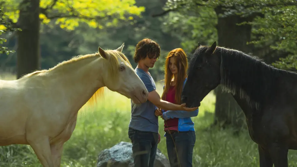 Windstorm 2Movie